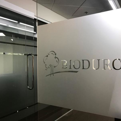 Window & Wall Graphics
